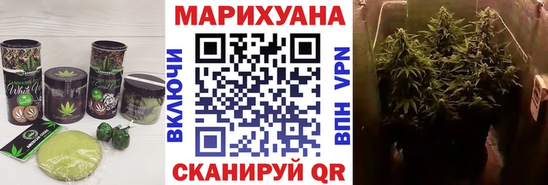 купить наркоту Петровск-Забайкальский мега зеркало Печенье с ТГК конопля